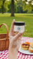 SeaBreeze Sunscreen White 2oz